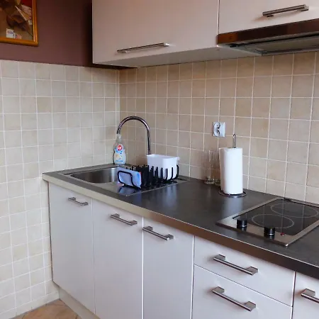 Apartament Art Galeria * Vratislav